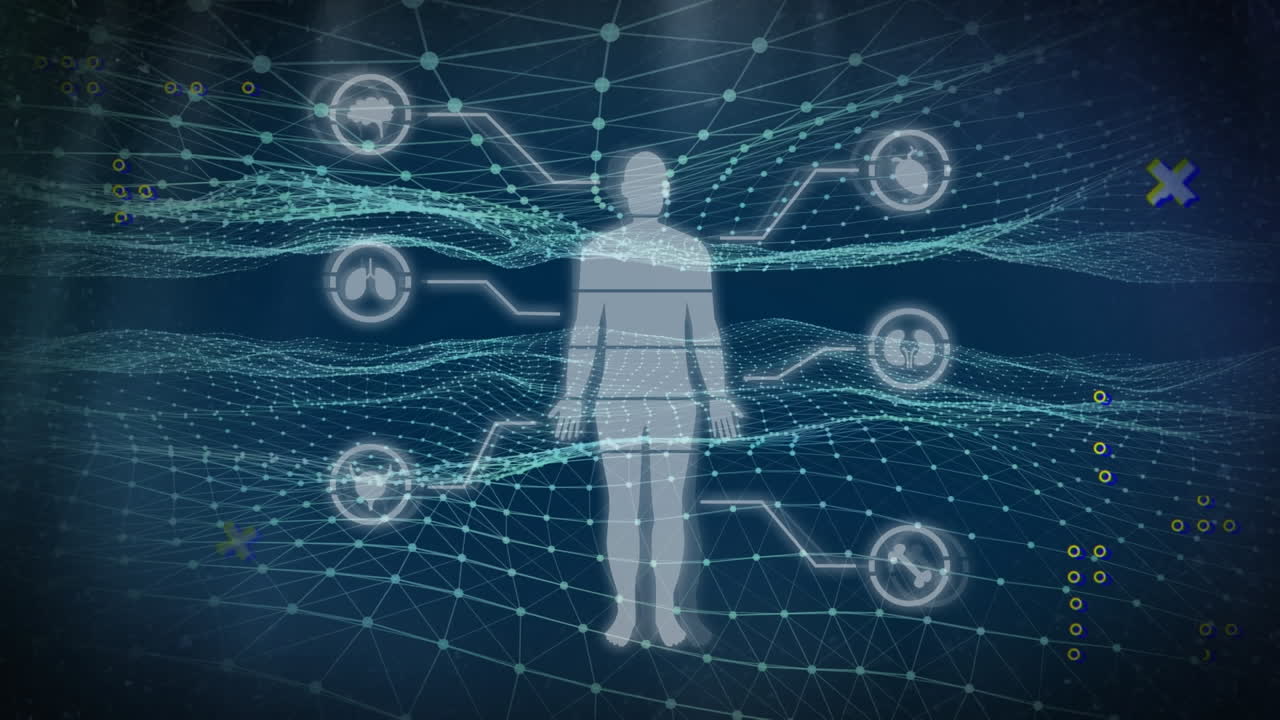 인체의 애니메이션, 아이콘, 연결 네트워크를 통해 데이터 처리