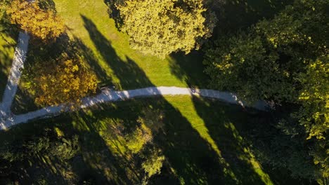 4K-Drohnenaufnahmen-Aus-Der-Luft-Eines-Paares,-Das-Während-Der-Goldenen-Stunde-Im-Park-Spaziert