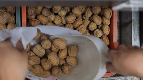 el punto de vista de los compradores mientras sacan nueces a granel de un contenedor en la tienda