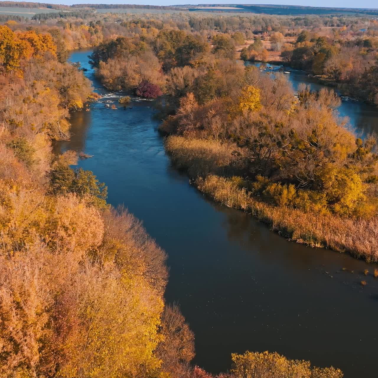 Beautiful autumn nature landscape. Aerial view of yellow natural trees