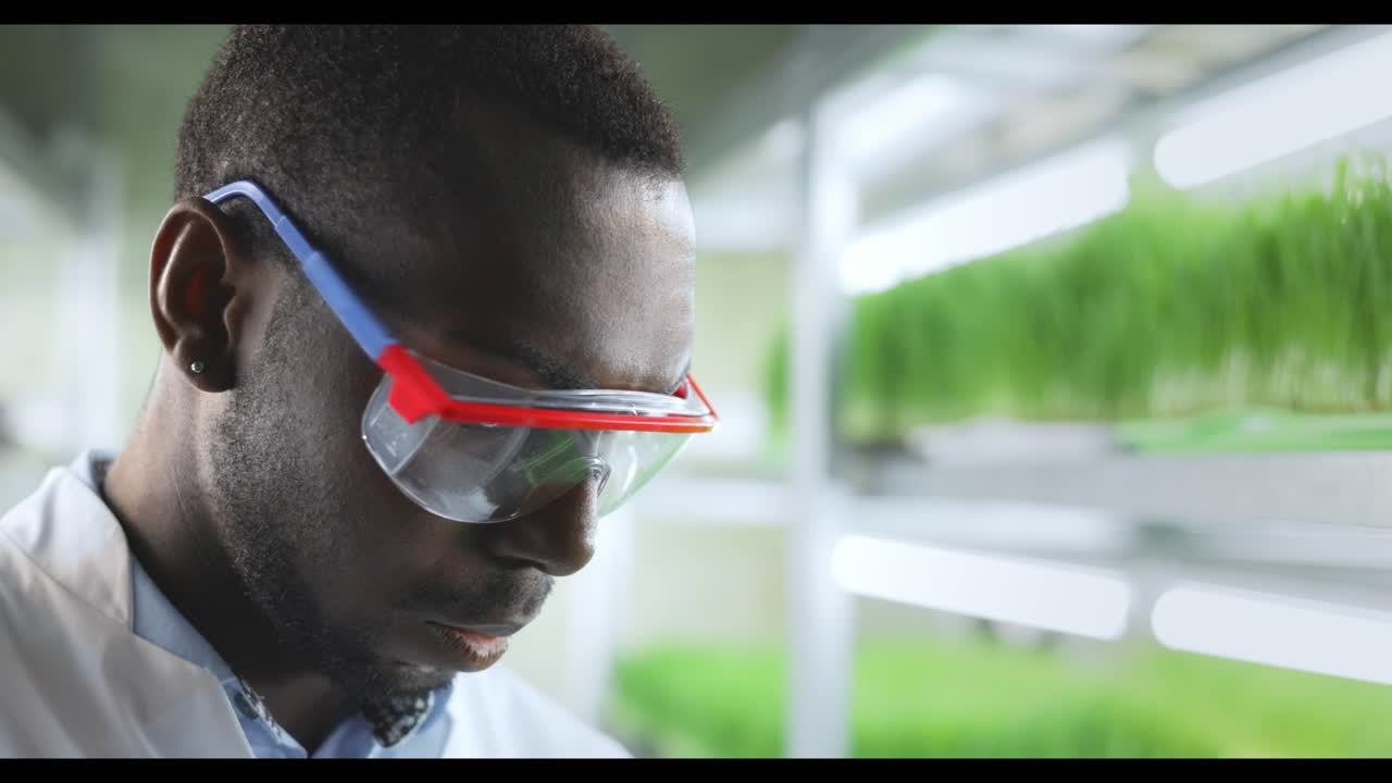 Scientist Observing Microgreens in a Controlled Environment