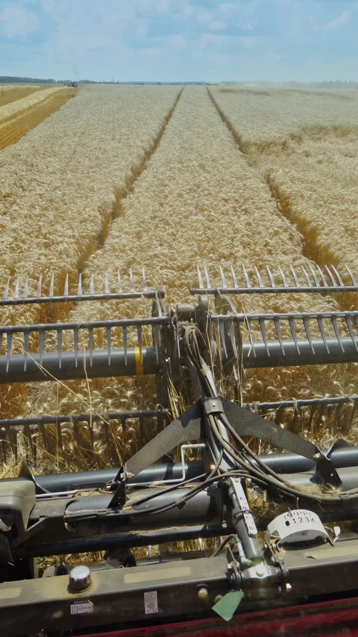 Metal detail of combine harvester at work. Agricultural machine cutting wheat ears on the yellow field. Seasonal works. Vertical video