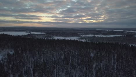 The-frozen-forest-near-Kuusamo-in-Lapland,-Finland