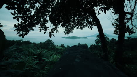 tropical island view from above