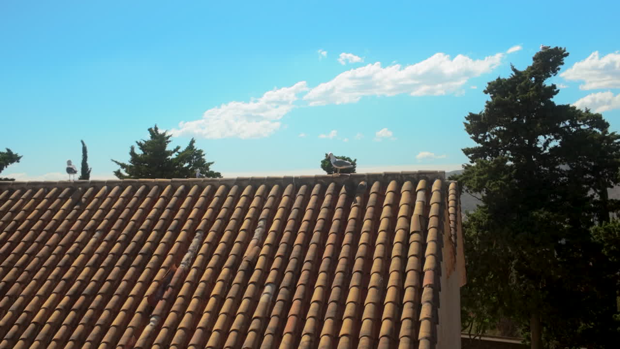 Traditional terracotta roof tiles in Gibralfaro, Málaga, set against a vibrant blue sky with scattered clouds and surrounding greenery