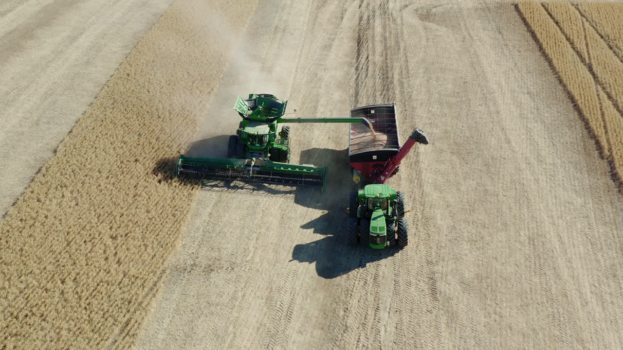 aéreo, cosechadora de tierras agrícolas maquinaria pesada cosechando trigo en la cama del tractor