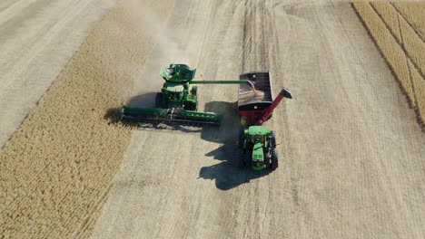 Aerial,-farm-land-combine-harvester-heavy-machinery-harvesting-wheat-into-tractor-bed
