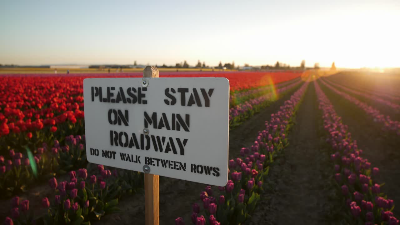 Warning sign at tulip field to stay out of the flowers
