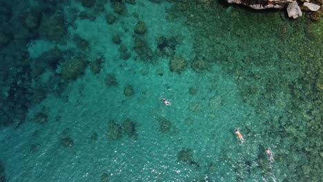 Luftaufnahme-Von-Menschen,-Die-In-Kristallklarem-Wasser-Schnorcheln