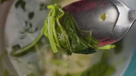 fresh spinach soup, close up