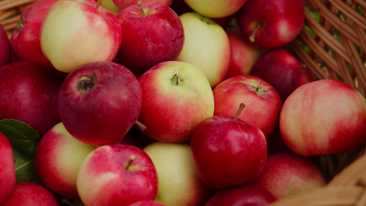 Vibrant Apple Harvest: A Close-Up of Freshly Picked Red and Green Apples in a Woven Basket, Celebrating the Beauty of Nature's Bounty and Seasonal Produce