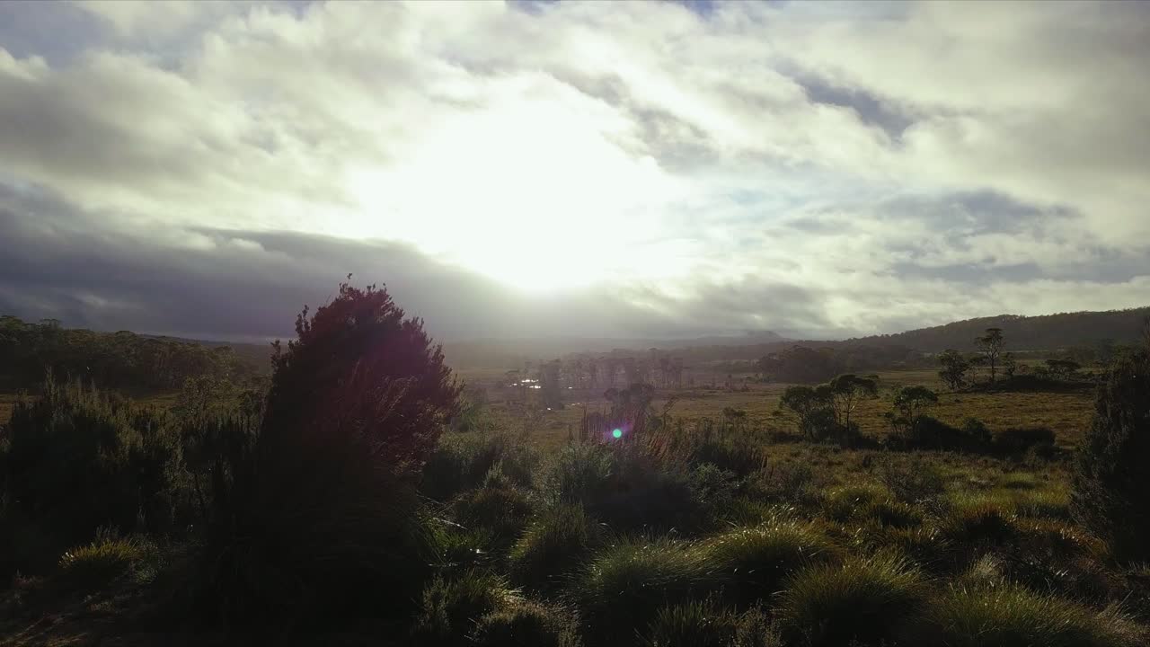 pastizales brumosos en tasmania en australia con sol y nubes en el fondo, tiro de larga distancia a la altura de los ojos
