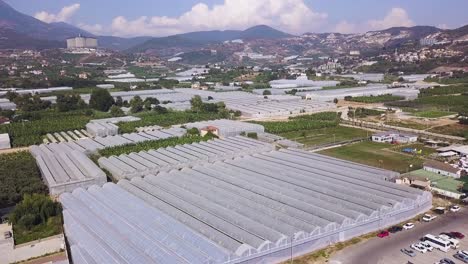 aerial view of a large agricultural complex with greenhouses and banana plantations