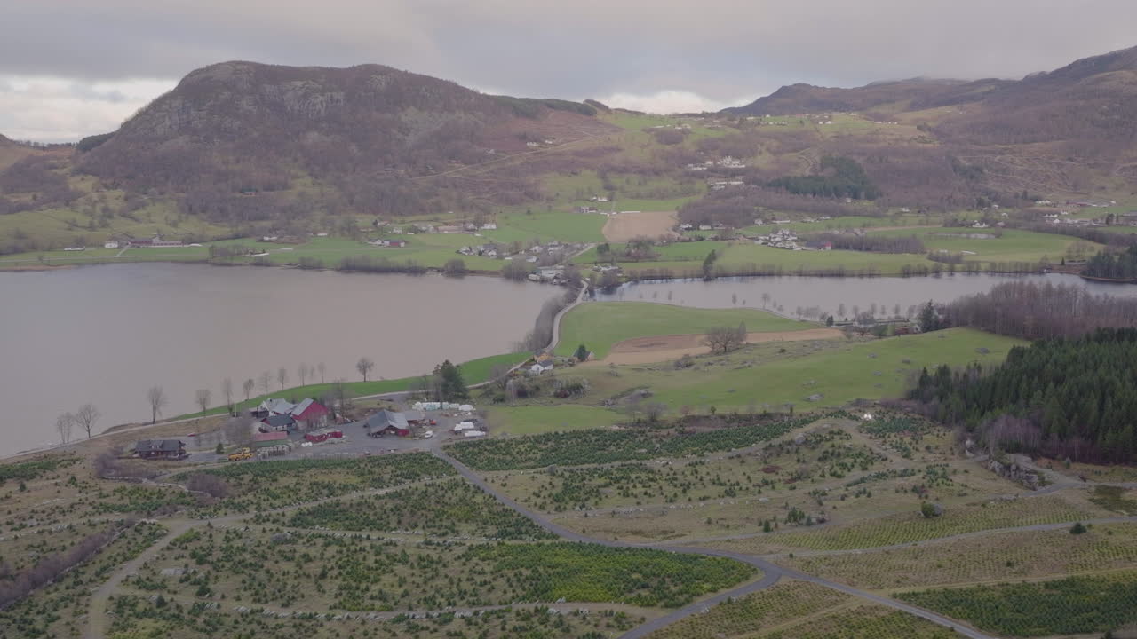 рождественская плантация рядом с озером и небольшим провинциальным городком