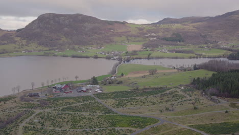 plantación de árboles de navidad junto al lago y un pequeño pueblo rural