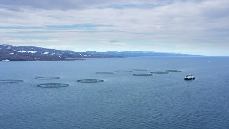 imágenes aéreas de granjas de pesca de salmón en noruega