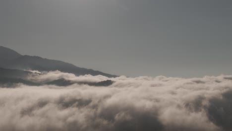 revealing treeline in front of cloudy blanket at the base of mt