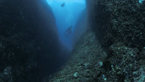 silhouette of a group of divers exploring a large rock crevice deep in the ocean