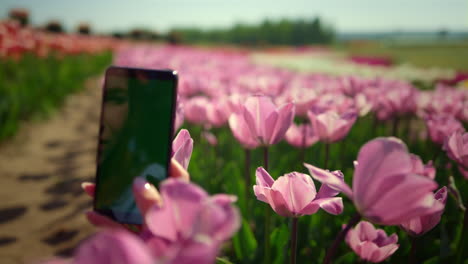 Unbekannte-Frau-Fotografiert-Mit-Kamerahandy.-Frauenhände-Halten-Mobiltelefon.