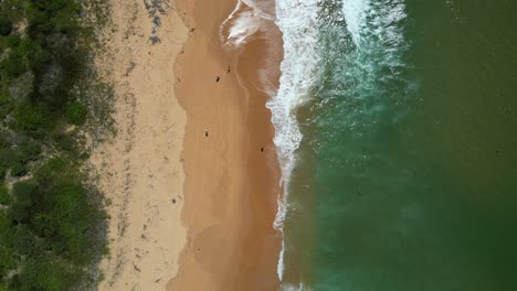 Birdseye-Shot-En-Putty-Beach,-Nueva-Gales-Del-Sur-(Australia)