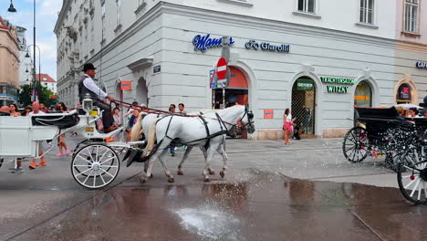 vienna, austria - june 9, 2025: people ride in the carriages in the old town of vienna, austria. tourists attraction in historical part of the city