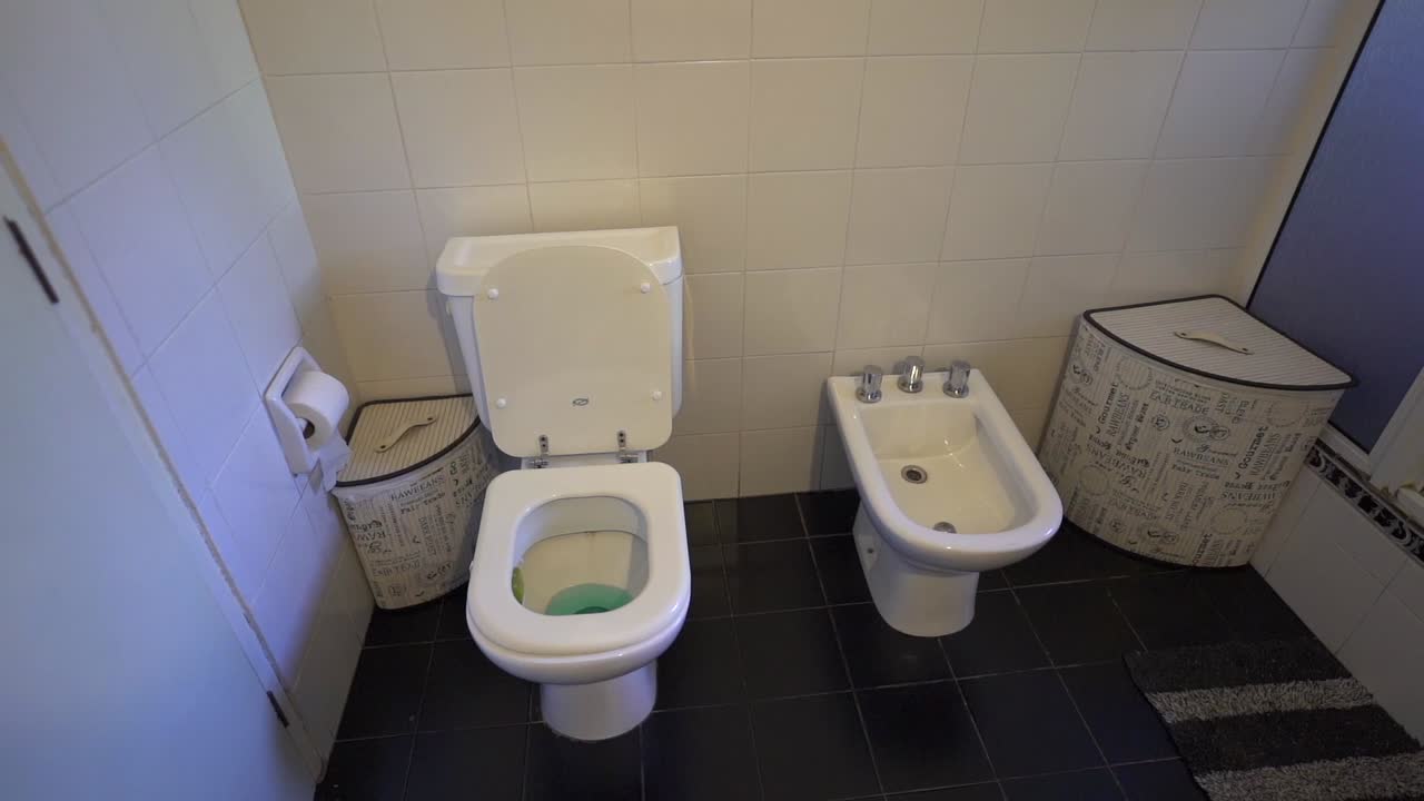 General camera clip portraying house bathroom, with white tiled wall, toilet and bidet, and black floor. Shot on 4K.