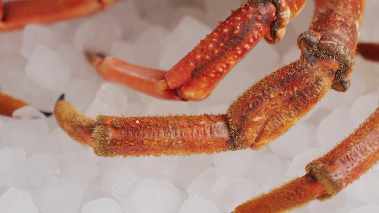 Close-up of Fresh Crab Legs on Ice