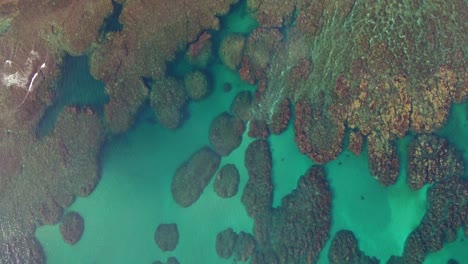 muy por encima de hermosos arrecifes de coral tropicales a lo largo de la costa costarricense, puerto viejo, vista aérea de arriba hacia abajo