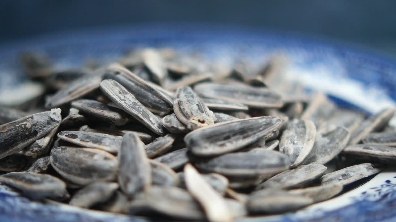 Roasted Sunflower Seeds on a Blue Plate
