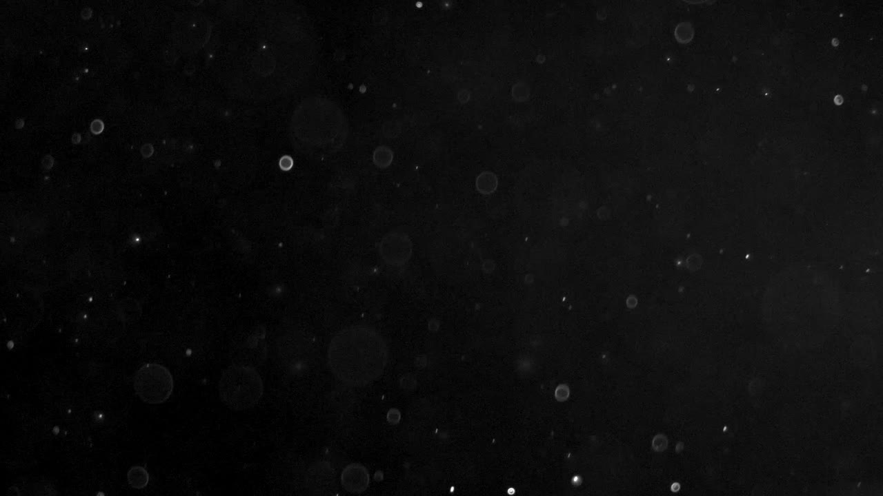 Dust Particles on Black Background-2