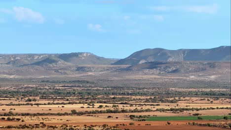 arid landscape separated with shrubbery dividing agricultural farming fields, aerial establish