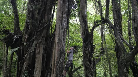Young-Caucasian-male-climbing-on-a-huge-tree-with-hanging-vines-in-the-dense-green-jungle