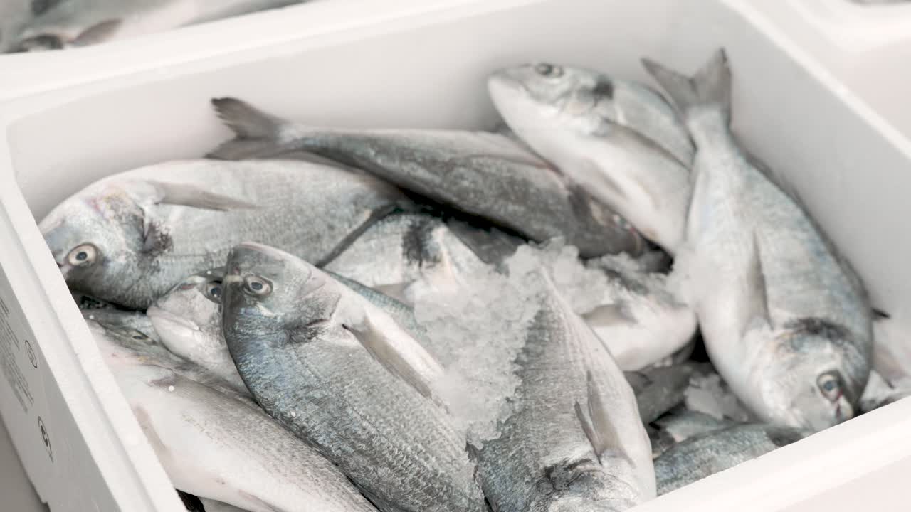 The crisp morning air surrounds a display of freshly caught fish, glistening on a bed of ice in a lively coastal market. Local vendors prepare for an exciting day of seafood sales