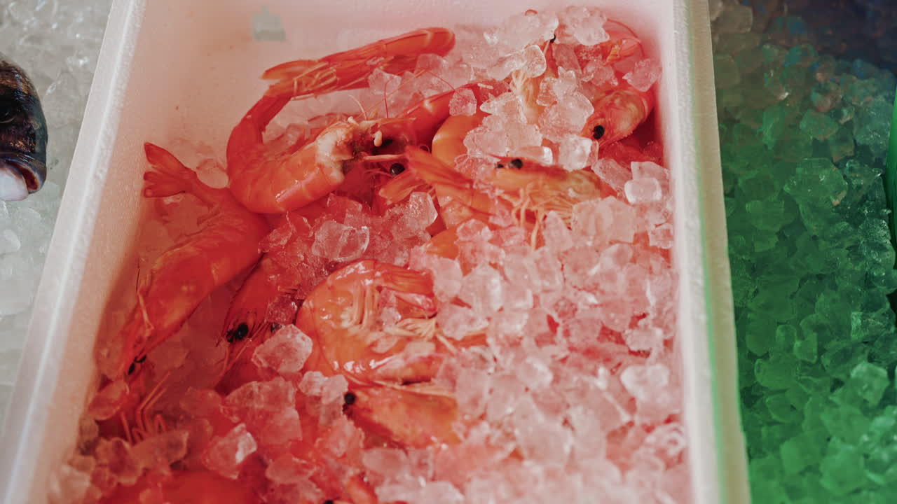 Human hand selecting bright prawns from a box of shrimp on ice at a fish market