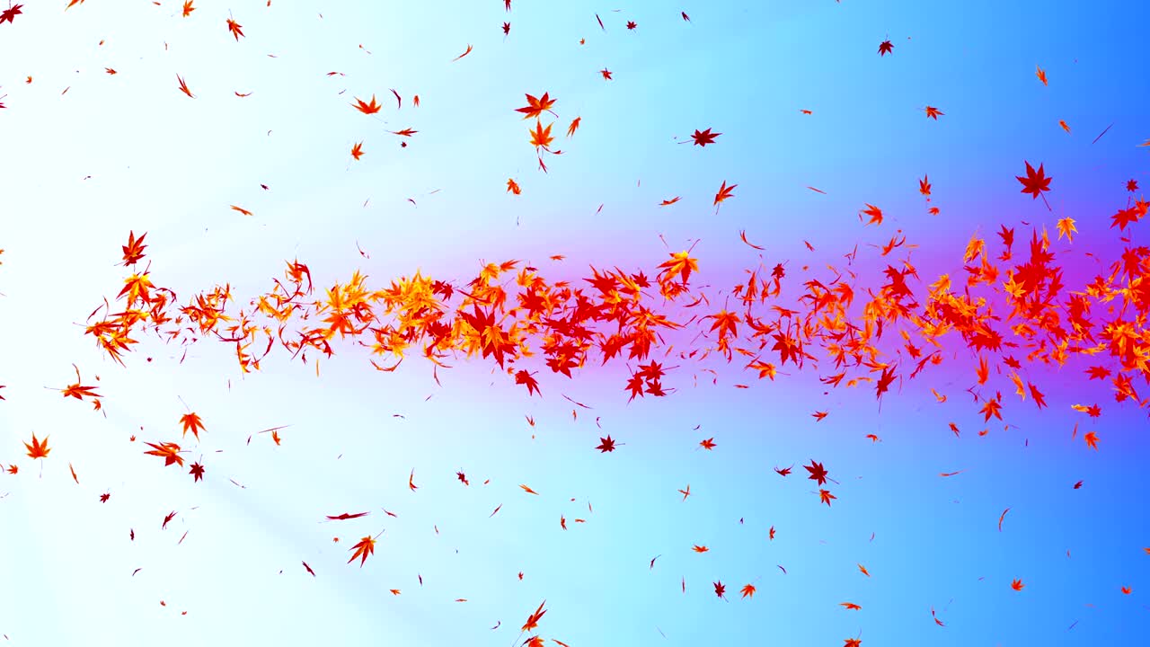 다채로운 메이플과 잎에서 나온 소용돌이, 가을 잎의 나선형 반이는 입자, 춤추는 잎, 다채로운 자연 터널 루프 애니메이션.