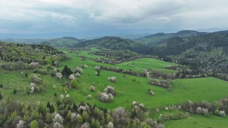 Captivating-spring-scenery:-A-drone-glides-above-vibrant-blossoming-orchards,-meadows,-and-dense-forests-under-the-ever-changing-canvas-of-dramatic-cloudy-skies-and-serene-blue-horizons