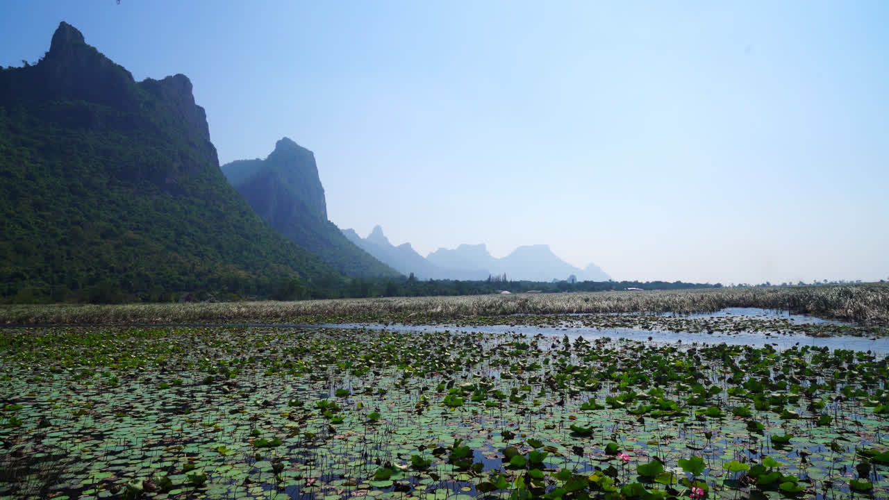 hermoso camino de madera en el pantano de agua dulce sam roi yot o en el parque nacional bueng bua khao sam roi yot en tailandia