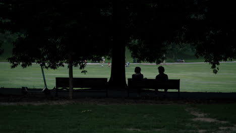 couple relaxing in a park at dusk