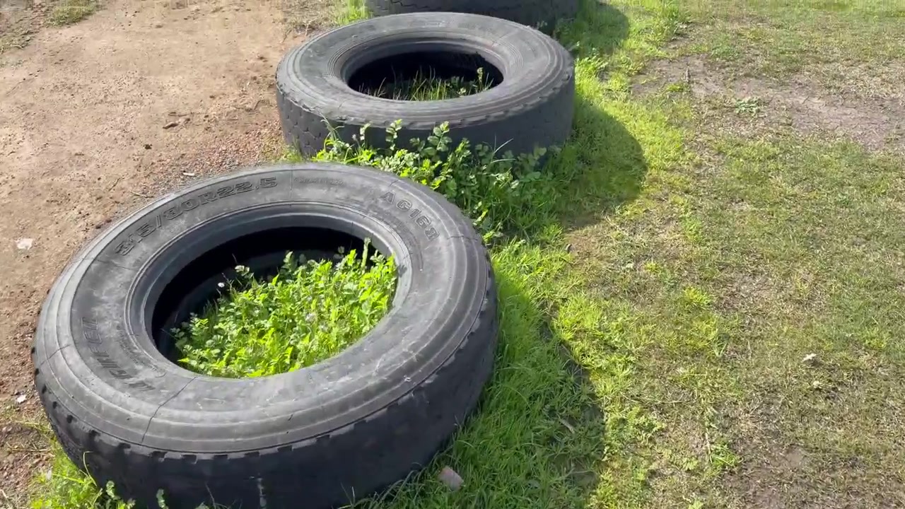 Large heavy-duty industrial tires lying on the ground in an outdoor grassy area. Close-up view of rugged tire treads surrounded by patches of grass, dirt and cracked pavement.