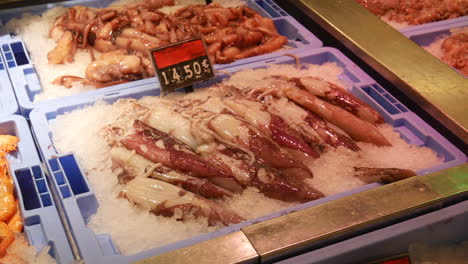 calamares y pulpos exhibidos en hielo, una delicadeza para los entusiastas de los mariscos, precios y listos en un mercado local