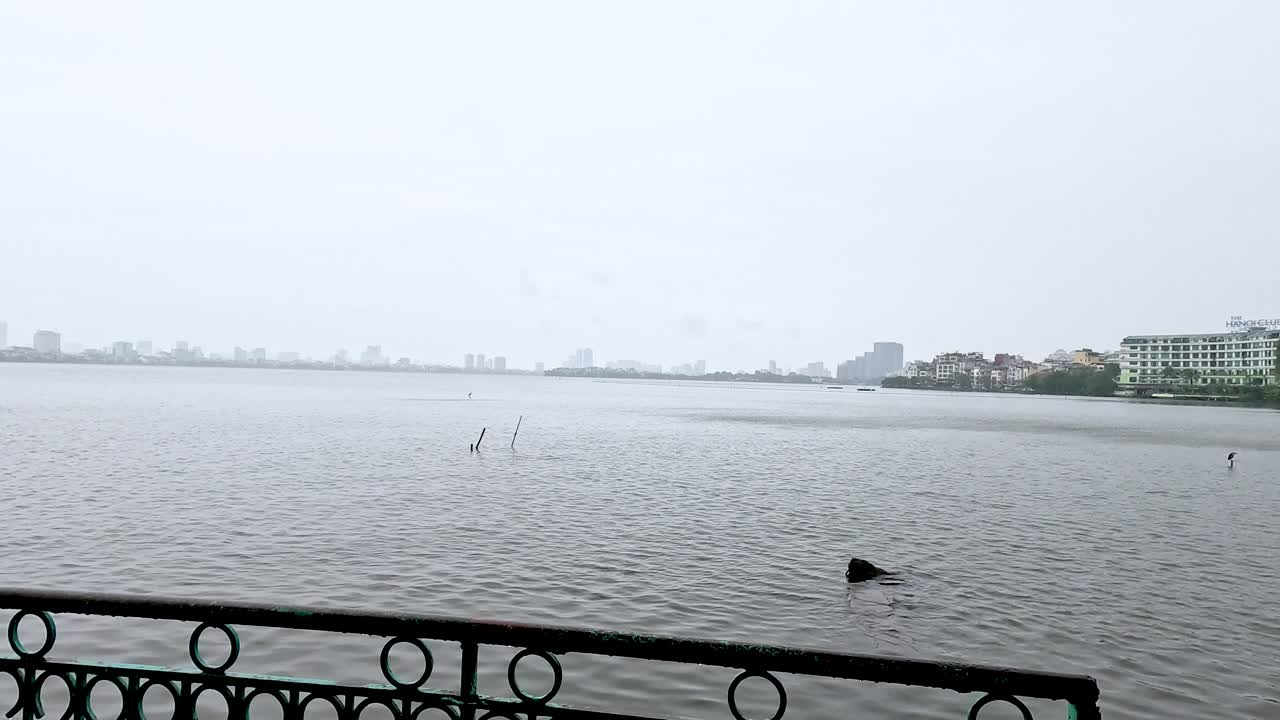 멀리 떨어진 도시 풍경과 함께 평화로운 강변 풍경