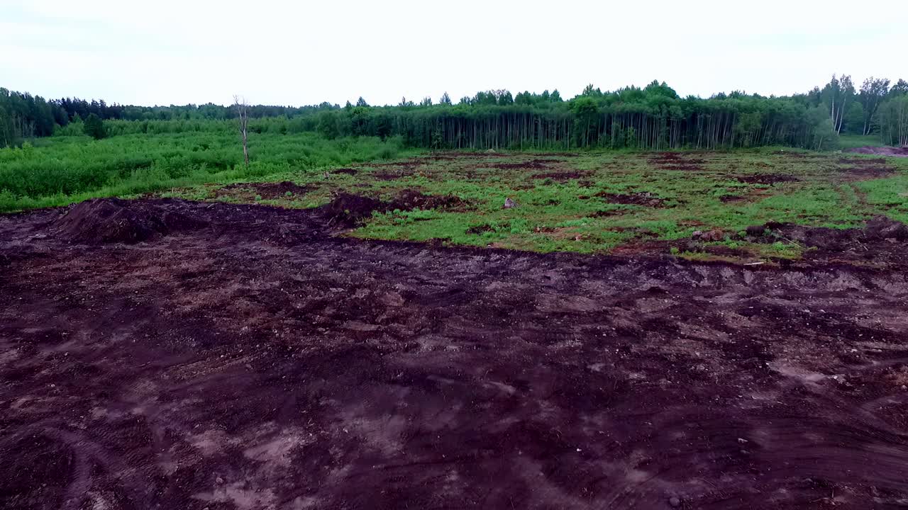 Drone merekam pendirian hutan yang rata dari lahan pertanian tanah cokelat di tepi pohon, medan datar di bawah cahaya siang yang lembut, deforestasi