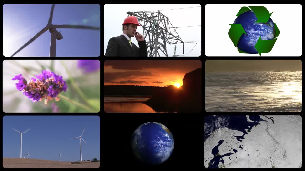 concepto de ecología