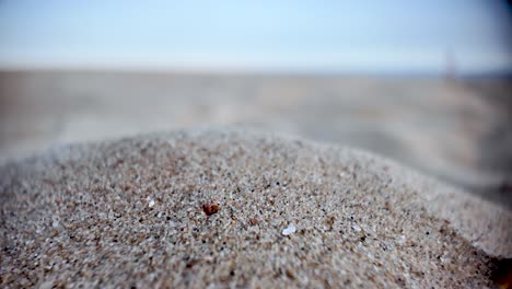 close up view of sand grains with blurred beach and sky in background. macro shot, dolly right