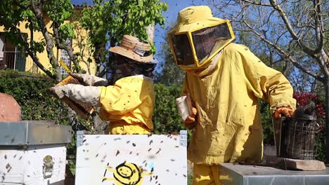 una pareja de apicultores ancianos examinando la salud del panal en una granja de abejas con ropa de protección, italia central