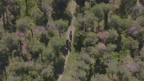 Birds-eye-view-above-a-group-of-hikers-hiking-through-a-forest-trail-in-Georgia