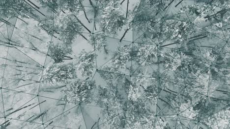 winter forest aerial view with geometric mesh overlay