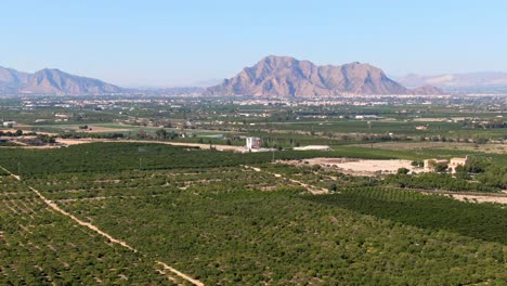 mediterranean green citrus farm fields near algorfa, spain with mountains in background