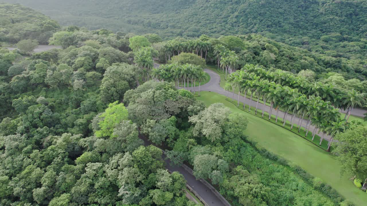 푸른 숲과 매력적인 파파가요 반도의 풍경은 코스타리카의 놀라운 자연의 아름다움을 보여줍니다.