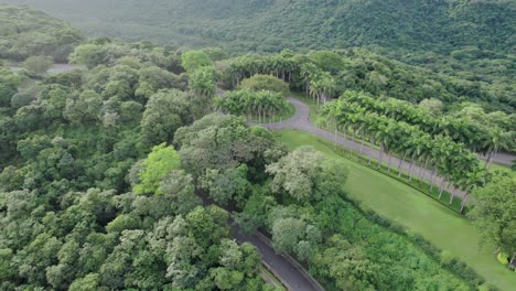 view of the lush green forests and the charming papagayo peninsula showcase the stunning natural beauty of costa rica